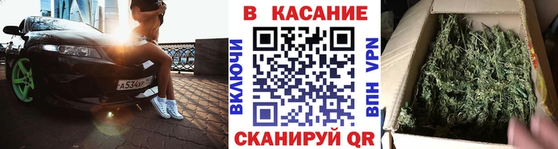 Галлюциногенные грибы Михайловка