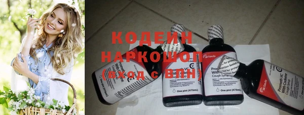 ешки Бородино