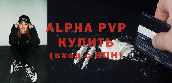 ешки Бородино