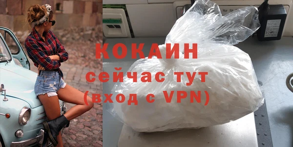 ешки Бородино