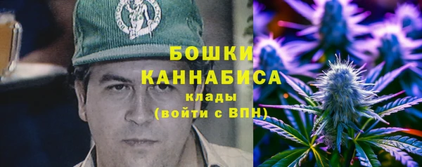 дживик Богданович