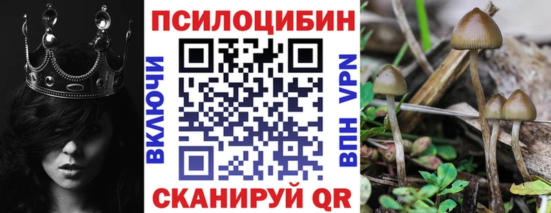 цена   Михайловка  Псилоцибиновые грибы Psilocybine cubensis 
